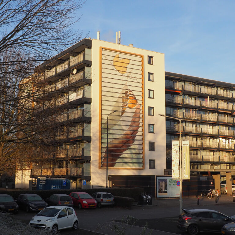 Zonnepanelen op een flat in Sittard